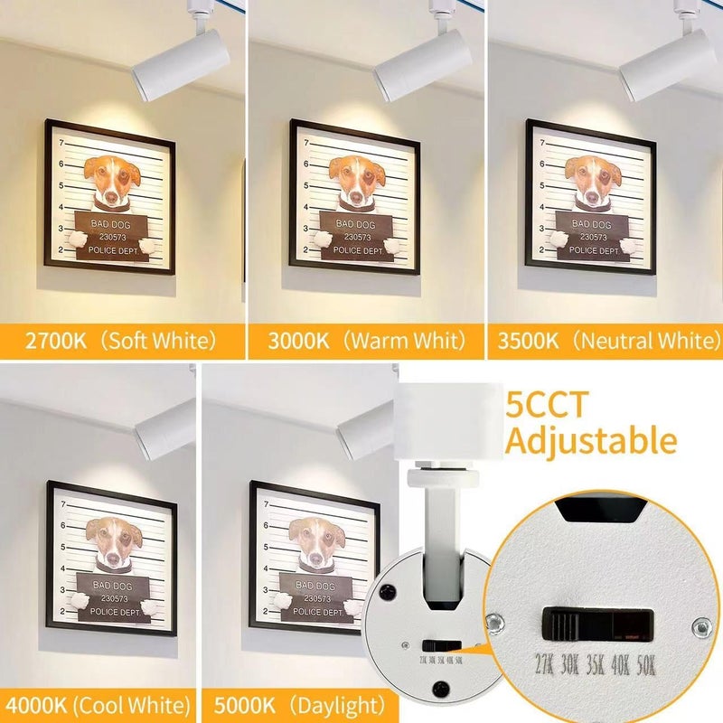 Ajbvp 5CCT LED Track Lighting Heads 12W Dimmable,Zoomable Beam15°/24°/36°/45°/60°,2700K/3000K/3500K/4000K/5000K,Single Circuit H Track Lighting Heads Ceiling Fixtures Art Lighting,White-4Pack - Image 2